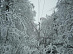 Бригады «Россети Центр» устраняют технологические нарушения в энергосетях Тверской области, вызванные непогодой, в круглосуточном режиме